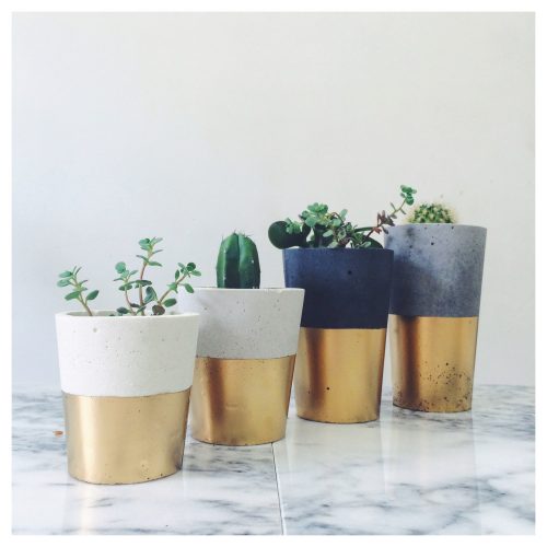 Cheap ways to decorate a university room | Plant pots dipped in gold