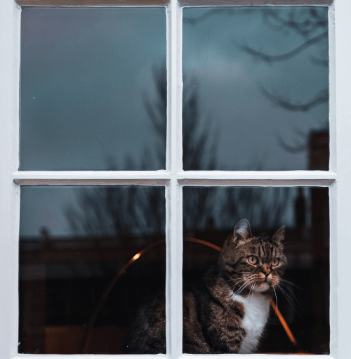 2019